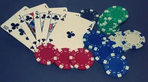 Cricket and casino-style entertainment options at kg333
